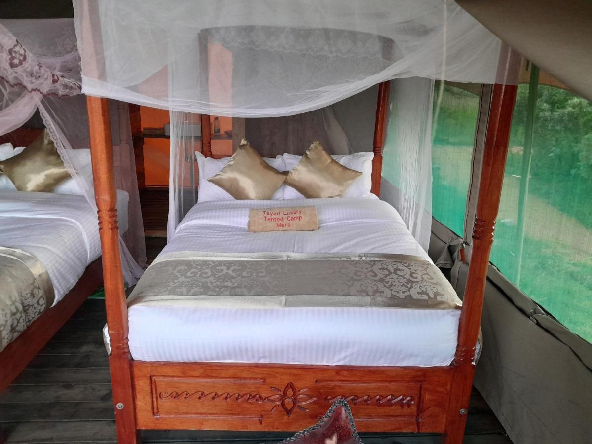 Tayari Luxury Tented Camp - Mara Sekenani Экстерьер фото