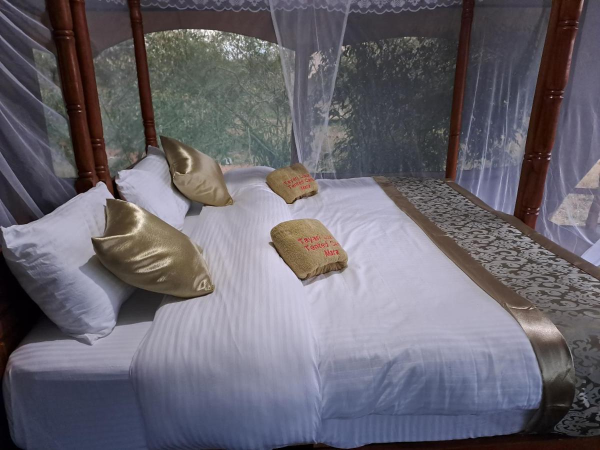 Tayari Luxury Tented Camp - Mara Sekenani Экстерьер фото